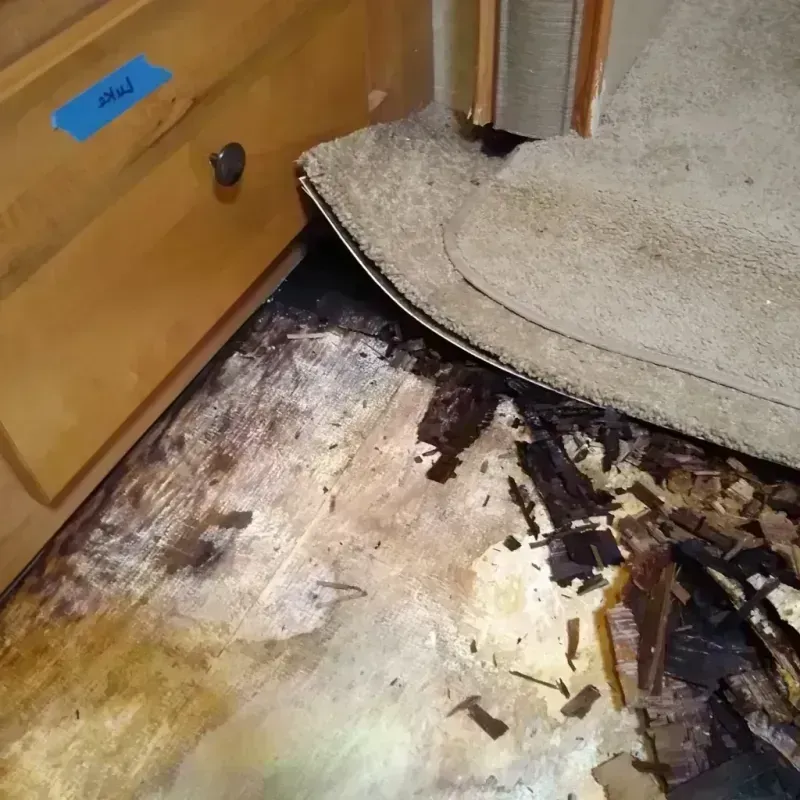 Wood Floor Water Damage in Mission, SD